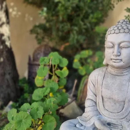 Agradable Casa Con Piscina Privada Y Jardin *